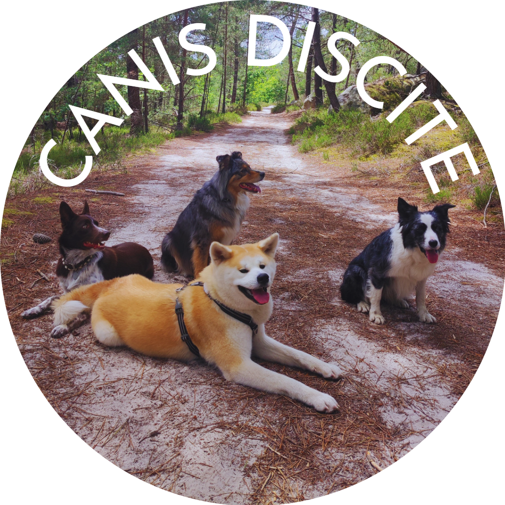 canisdiscite.fr